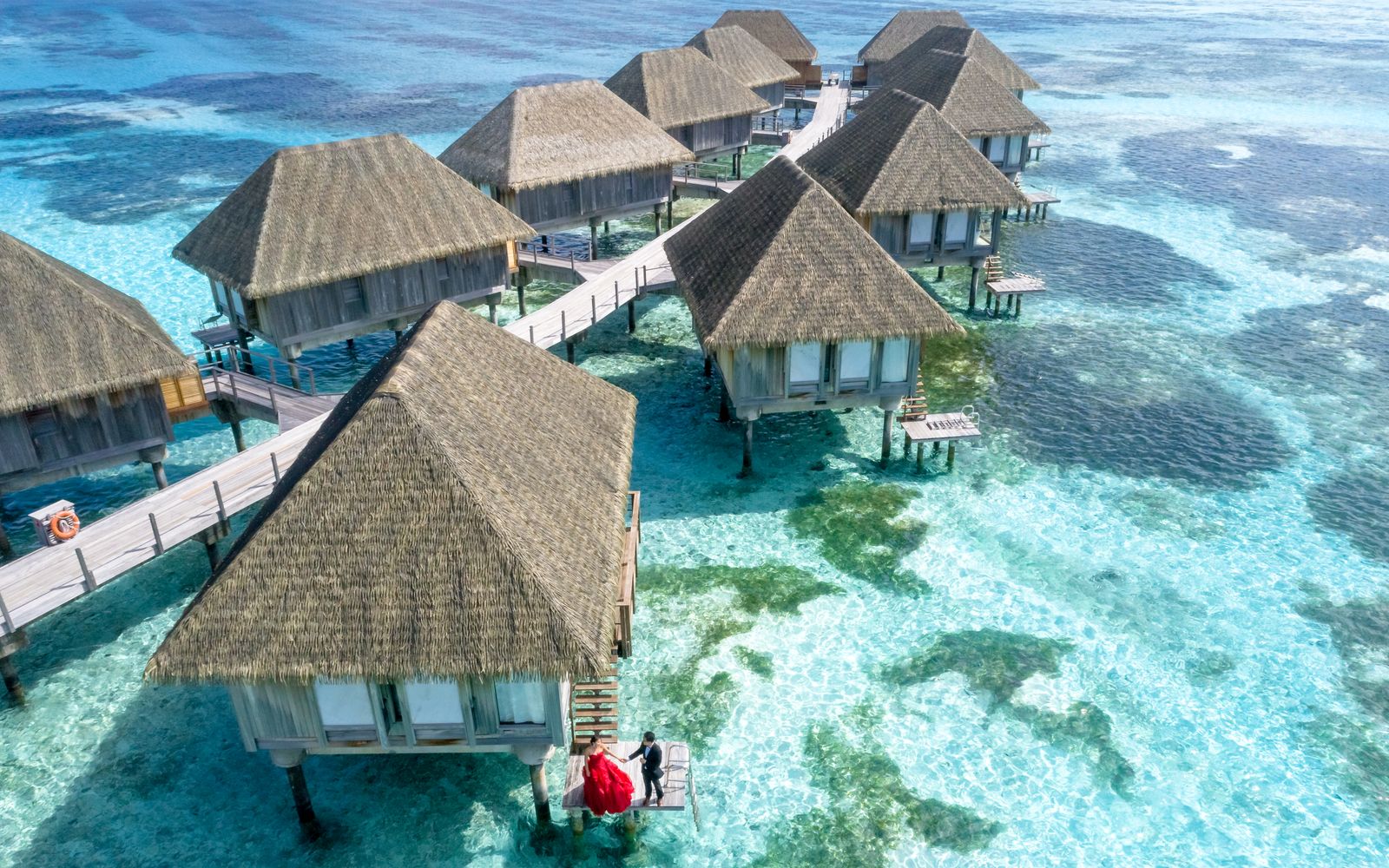 Tropische Unterkunft für einen PADI-Divemaster-Aufenthalt